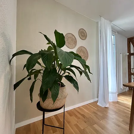 Διαμέρισμα Klara 1022 - Olma, Spital, Uni St- Gallen St. Gallen